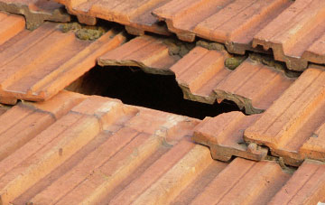 roof repair Brithem Bottom, Devon